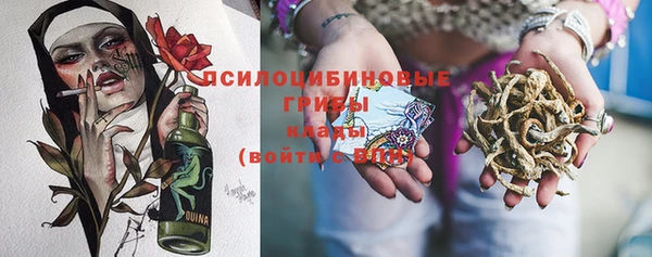 МДПВ Новодвинск