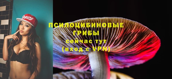 гашиш Няндома