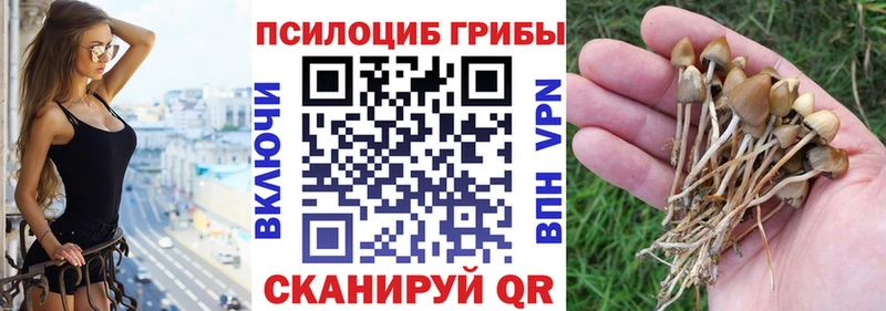 Галлюциногенные грибы Magic Shrooms  Новоульяновск 